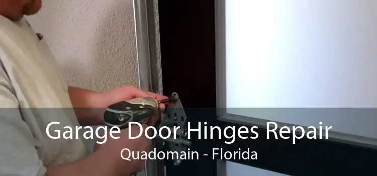 Garage Door Hinges Repair Quadomain - Florida