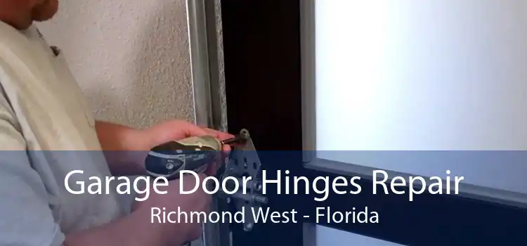 Garage Door Hinges Repair Richmond West - Florida