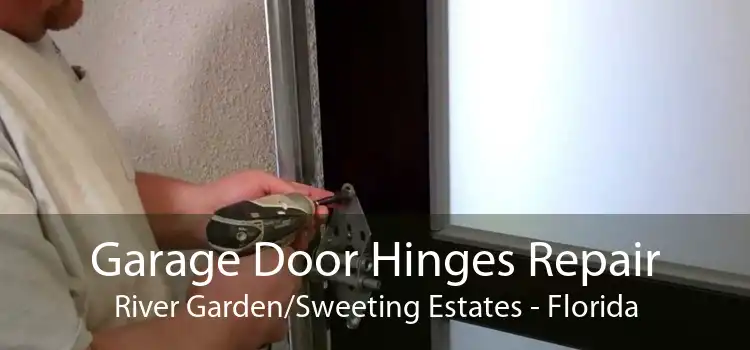 Garage Door Hinges Repair River Garden/Sweeting Estates - Florida