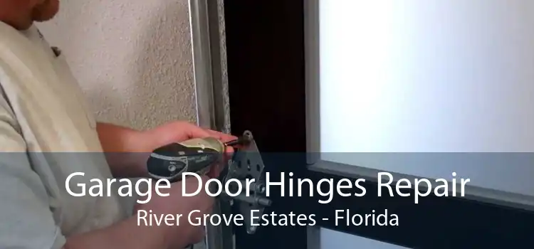 Garage Door Hinges Repair River Grove Estates - Florida