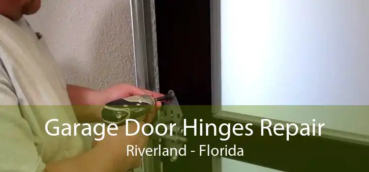 Garage Door Hinges Repair Riverland - Florida