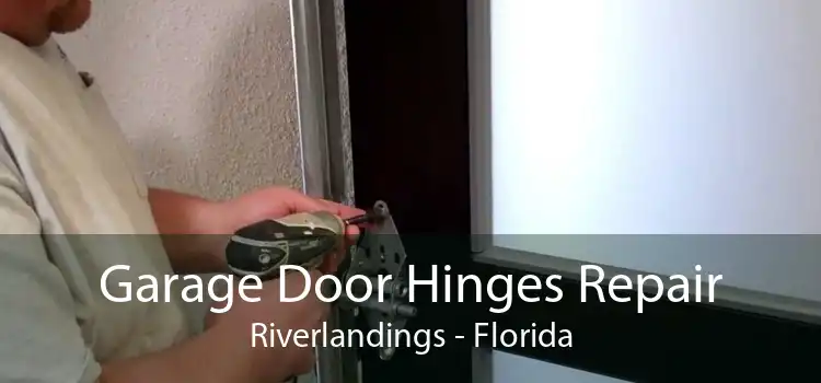 Garage Door Hinges Repair Riverlandings - Florida