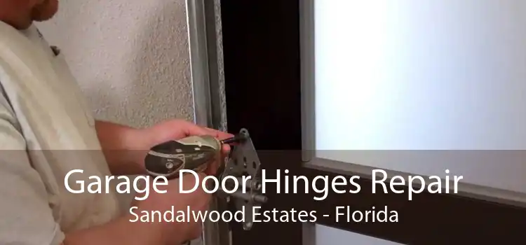 Garage Door Hinges Repair Sandalwood Estates - Florida