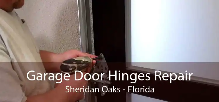 Garage Door Hinges Repair Sheridan Oaks - Florida