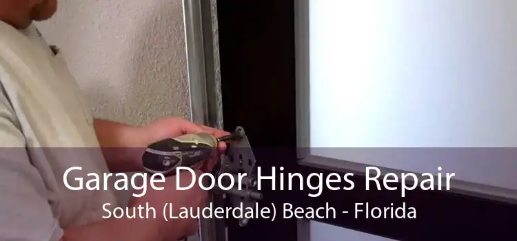 Garage Door Hinges Repair South (Lauderdale) Beach - Florida