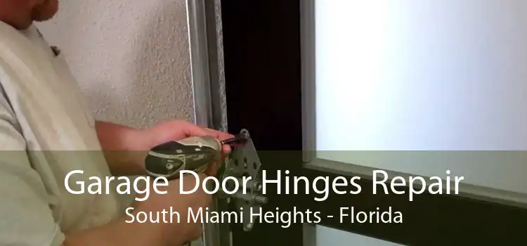 Garage Door Hinges Repair South Miami Heights - Florida