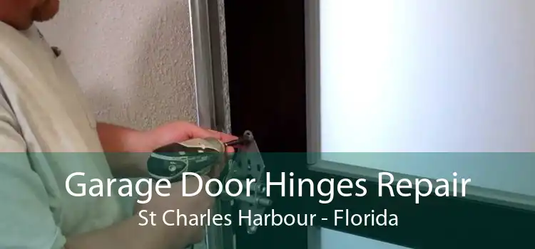 Garage Door Hinges Repair St Charles Harbour - Florida