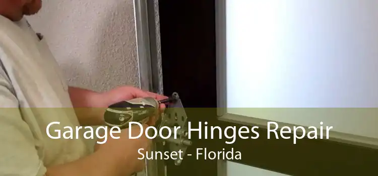 Garage Door Hinges Repair Sunset - Florida