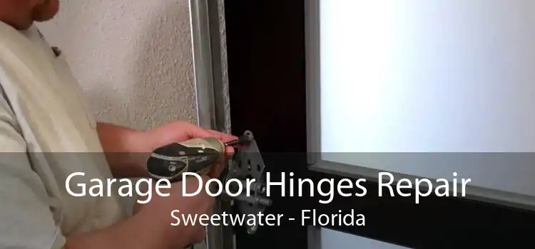 Garage Door Hinges Repair Sweetwater - Florida