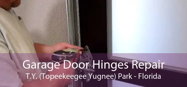 Garage Door Hinges Repair T.Y. (Topeekeegee Yugnee) Park - Florida