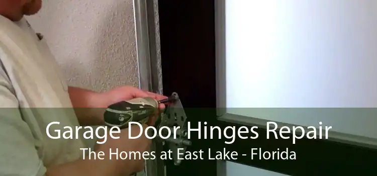 Garage Door Hinges Repair The Homes at East Lake - Florida