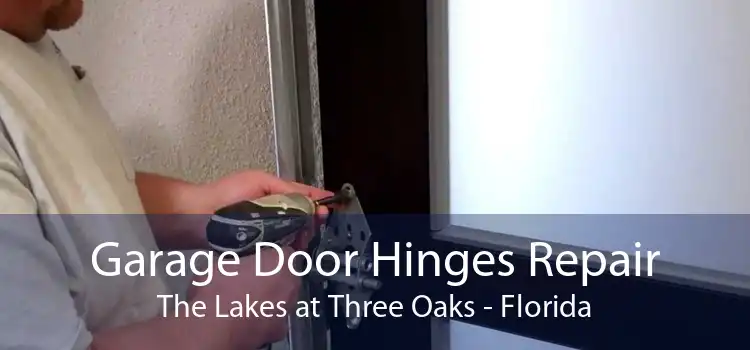 Garage Door Hinges Repair The Lakes at Three Oaks - Florida