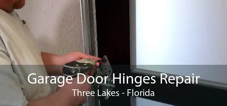 Garage Door Hinges Repair Three Lakes - Florida