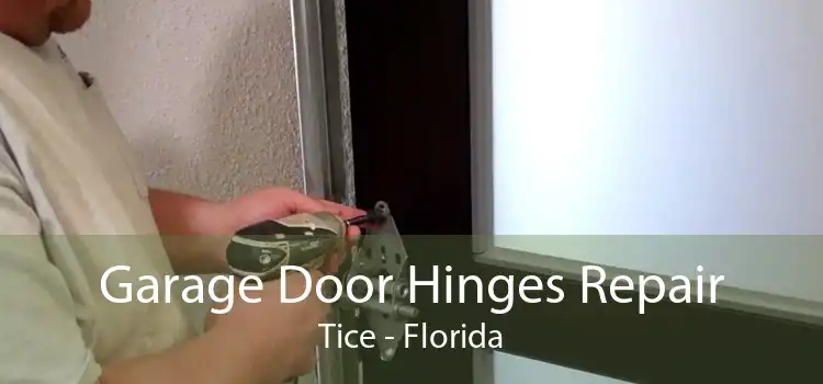 Garage Door Hinges Repair Tice - Florida