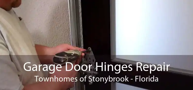 Garage Door Hinges Repair Townhomes of Stonybrook - Florida