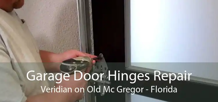 Garage Door Hinges Repair Veridian on Old Mc Gregor - Florida