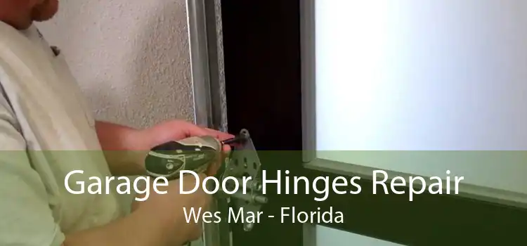 Garage Door Hinges Repair Wes Mar - Florida