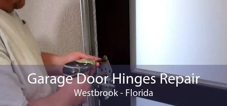 Garage Door Hinges Repair Westbrook - Florida