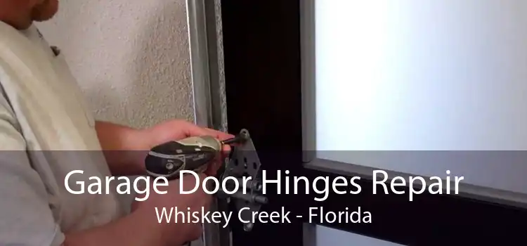 Garage Door Hinges Repair Whiskey Creek - Florida