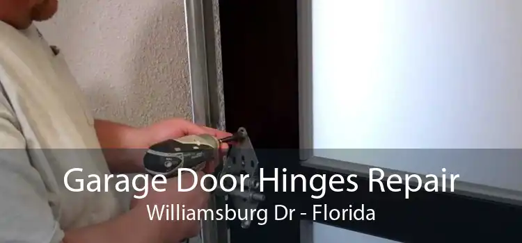 Garage Door Hinges Repair Williamsburg Dr - Florida