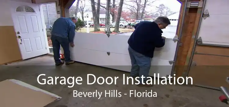 Garage Door Installation Beverly Hills - Florida