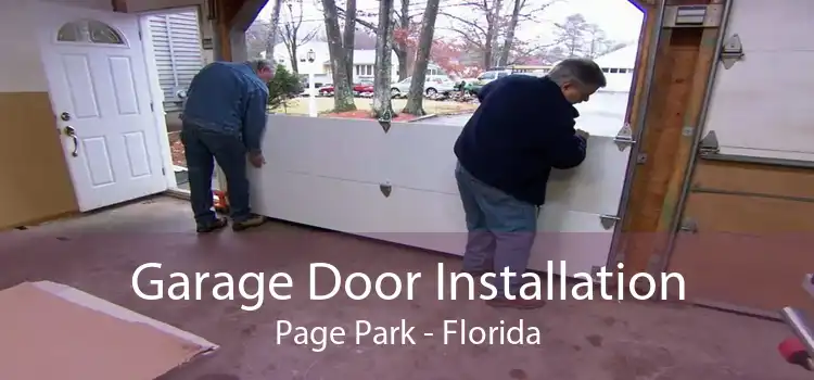 Garage Door Installation Page Park - Florida