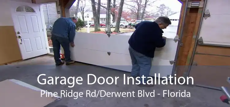 Garage Door Installation Pine Ridge Rd/Derwent Blvd - Florida