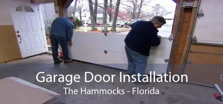 Garage Door Installation The Hammocks - Florida