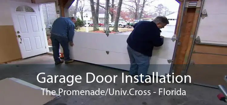 Garage Door Installation The Promenade/Univ.Cross - Florida