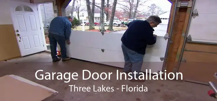 Garage Door Installation Three Lakes - Florida