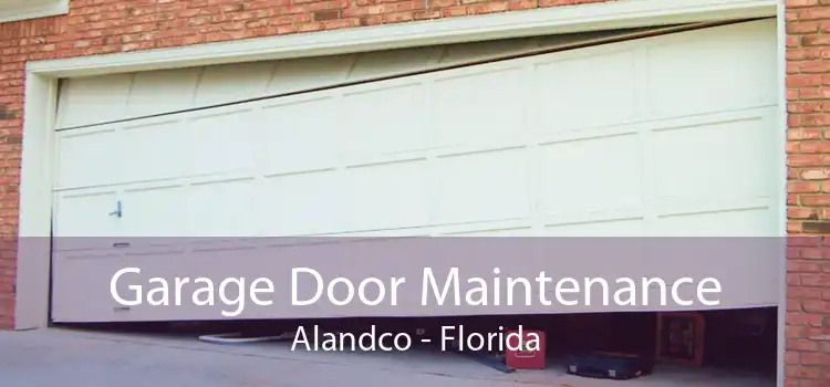 Garage Door Maintenance Alandco - Florida