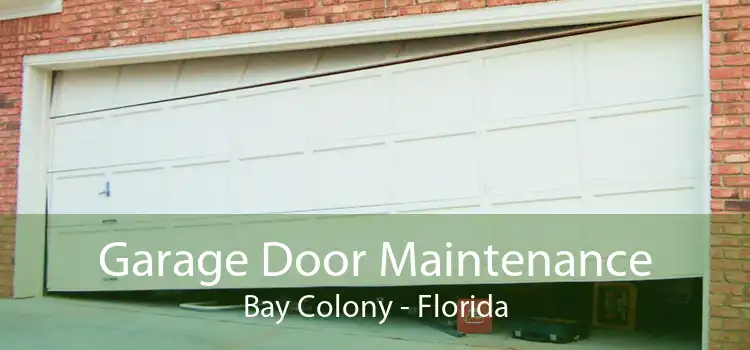 Garage Door Maintenance Bay Colony - Florida