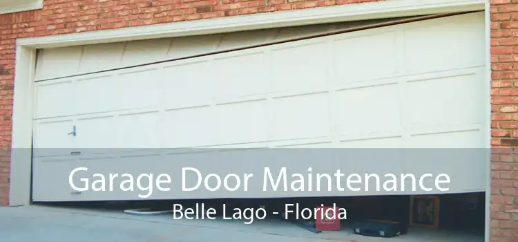 Garage Door Maintenance Belle Lago - Florida