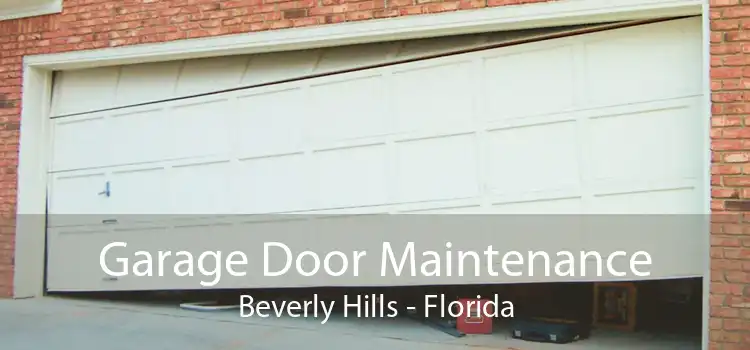 Garage Door Maintenance Beverly Hills - Florida