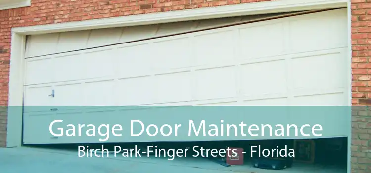 Garage Door Maintenance Birch Park-Finger Streets - Florida