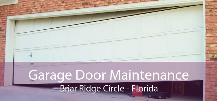 Garage Door Maintenance Briar Ridge Circle - Florida