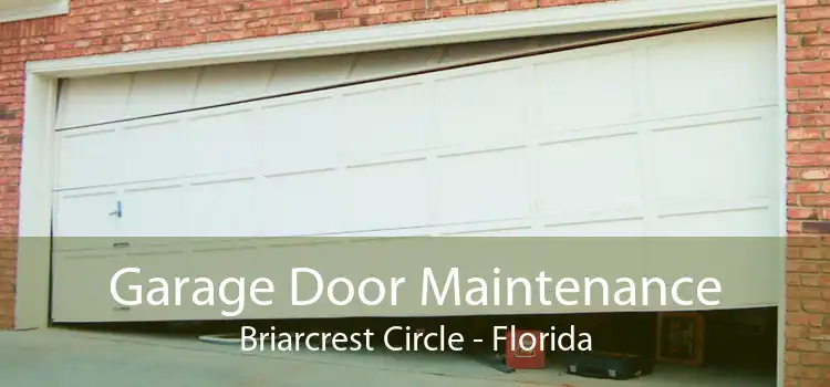 Garage Door Maintenance Briarcrest Circle - Florida