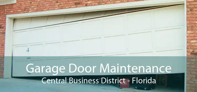 Garage Door Maintenance Central Business District - Florida