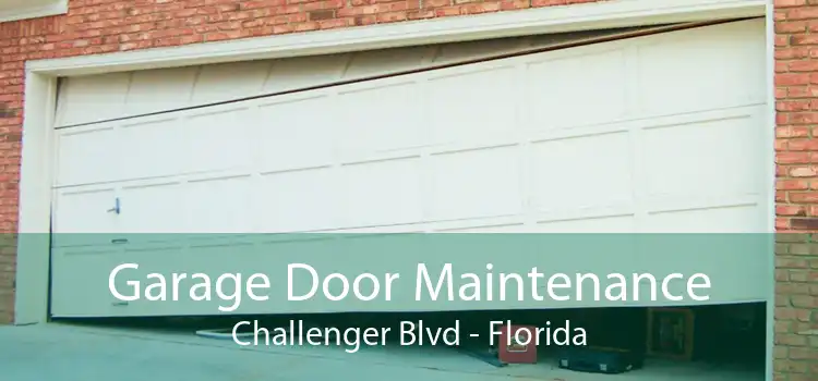 Garage Door Maintenance Challenger Blvd - Florida