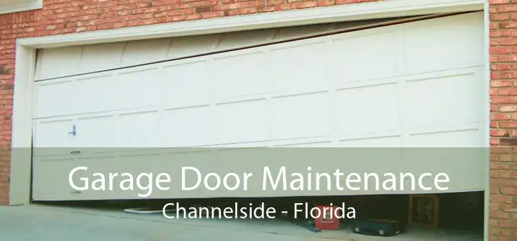 Garage Door Maintenance Channelside - Florida