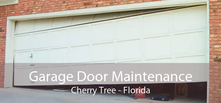 Garage Door Maintenance Cherry Tree - Florida