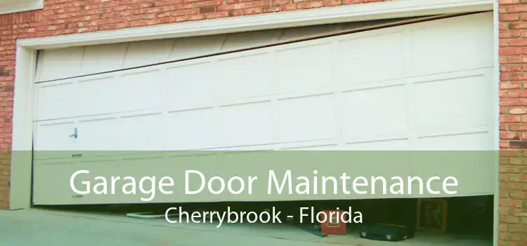 Garage Door Maintenance Cherrybrook - Florida