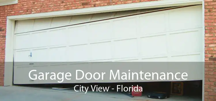 Garage Door Maintenance City View - Florida