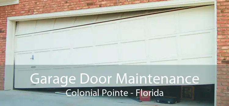 Garage Door Maintenance Colonial Pointe - Florida