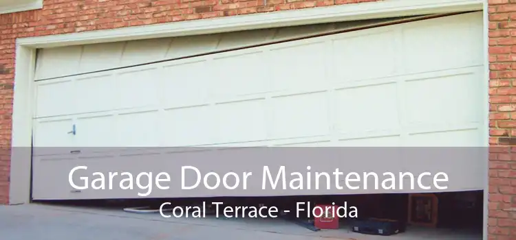 Garage Door Maintenance Coral Terrace - Florida