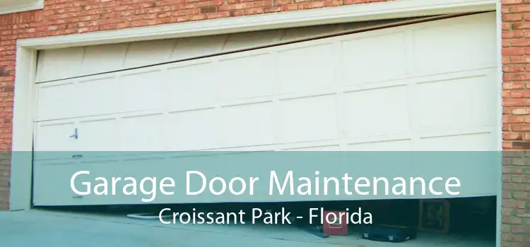 Garage Door Maintenance Croissant Park - Florida