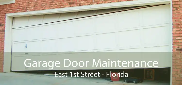 Garage Door Maintenance East 1st Street - Florida