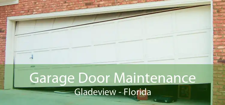 Garage Door Maintenance Gladeview - Florida