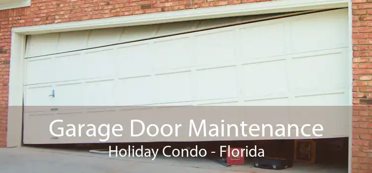 Garage Door Maintenance Holiday Condo - Florida