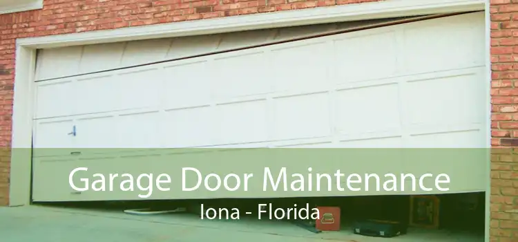 Garage Door Maintenance Iona - Florida